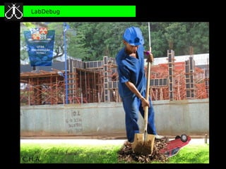 LabDebug
 