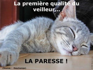 La première qualité du
                veilleur…




                                   CC BY Bruno Caimi, Flickr
                   LA PARESSE !
(Source C. Deschamps)
 