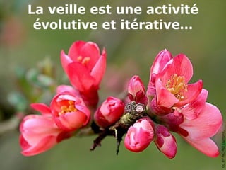 La veille est une activité
 évolutive et itérative…




                             CC BY-NC-ND capitphil, Flickr
 