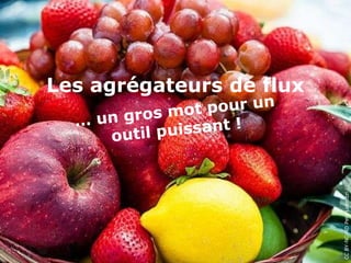 Les agrégateurs de flux
       g r o s mo t pour un
  … un
     outil p   uissant !




                              CC BY-NC-ND Pete Labrozzi, Flickr
 