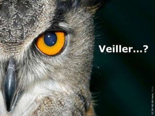 Veiller…?




CC BY-ND Bill Hails, Flickr
 