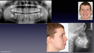 ©sylvainchamberland.com
 