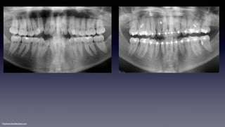 ©sylvainchamberland.com
 