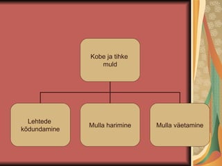 Kobe ja tihke  muld Lehtede  kõdundamine Mulla harimine Mulla väetamine 