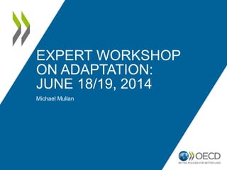 EXPERT WORKSHOP
ON ADAPTATION:
JUNE 18/19, 2014
Michael Mullan
 