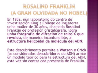 En 1952, nun laboratorio do centro de investigación King´s College de Inglaterra, unha muller de 30 años, chamada Rosalind Franklin de profesión cristalógrafa, logra  unha fotografía de difración de raios X   que revelou , de maneira inconfundible,  a estructura helicoidal da molécula del ADN .  Este descubrimento permite a  Watson e Crick  (os considerados descubridores do ADN) armar un modelo teórico para la estructura del ADN, esta vez sin contar coa presencia de Franklin.  