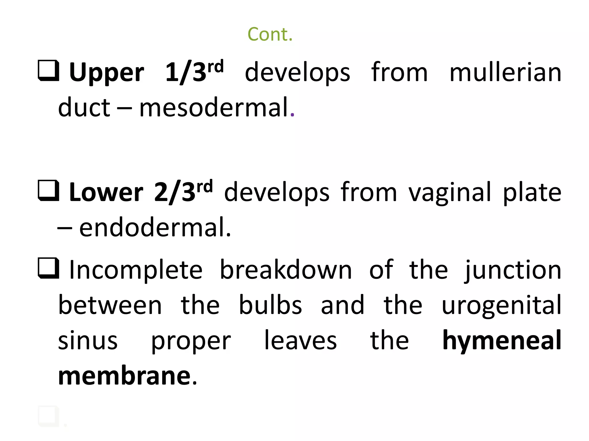 Cont. 
 Upper 1/3rd develops from mullerian 
duct – mesodermal. 
 Lower 2/3rd develops from vaginal plate 
– endodermal. 
 Incomplete breakdown of the junction 
between the bulbs and the urogenital 
sinus proper leaves the hymeneal 
membrane. 
. 
 
