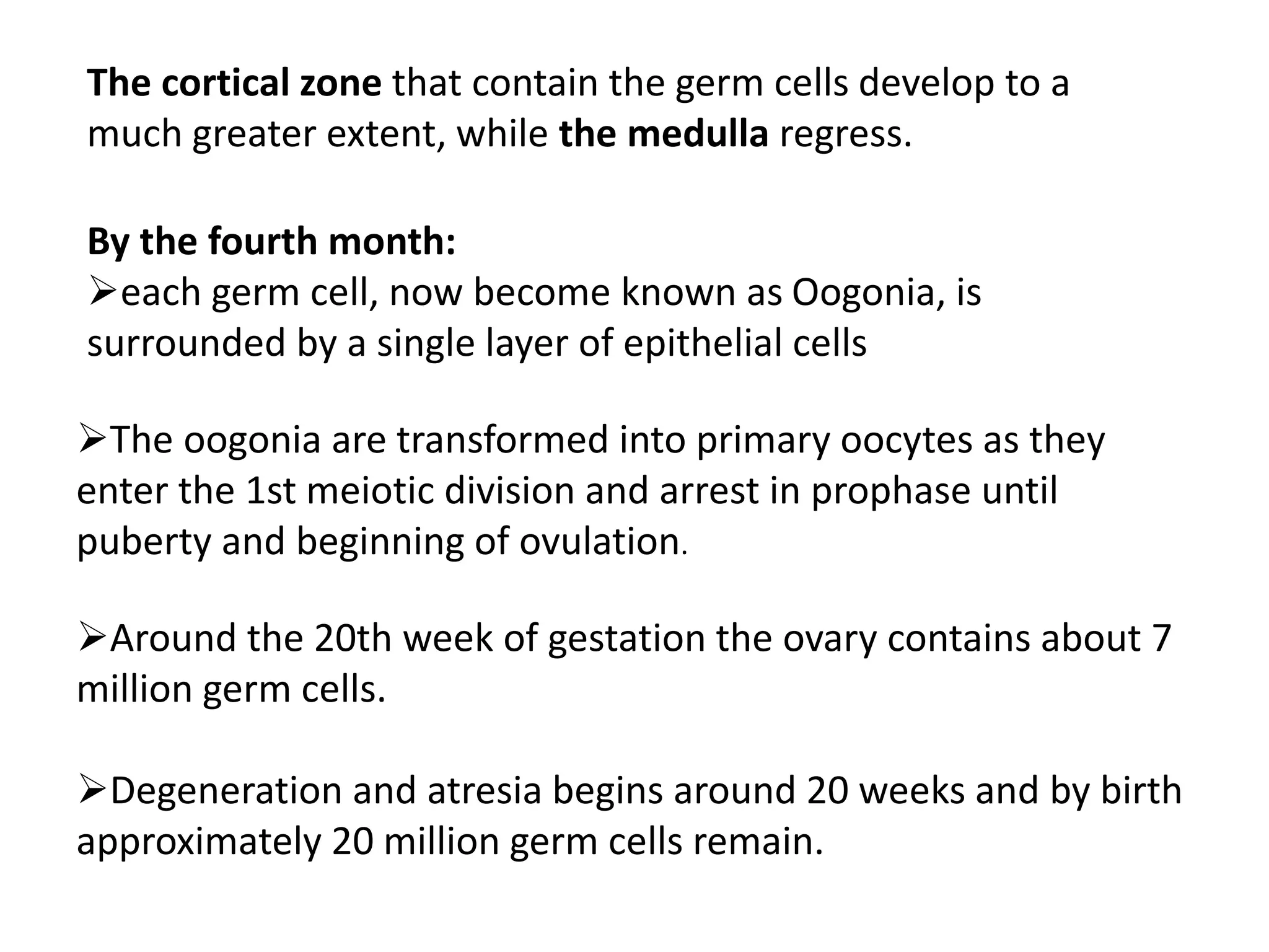 The cortical zone that contain the germ cells develop to a 
much greater extent, while the medulla regress. 
By the fourth month: 
each germ cell, now become known as Oogonia, is 
surrounded by a single layer of epithelial cells 
The oogonia are transformed into primary oocytes as they 
enter the 1st meiotic division and arrest in prophase until 
puberty and beginning of ovulation. 
Around the 20th week of gestation the ovary contains about 7 
million germ cells. 
Degeneration and atresia begins around 20 weeks and by birth 
approximately 20 million germ cells remain. 
 