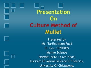 Presentation
On
Culture Method of
Mullet
Presented by
Md. Tariful Islam Fuad
ID. No.: 13207059
Marine Science
Session: 2012-13 (2nd Year)
Institute Of Marine Sciences & Fisheries,
University Of Chittagong.
 