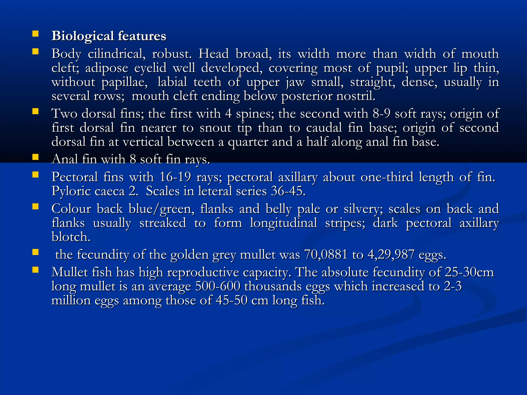  Biological featuresBiological features
 Body cilindrical, robust. Head broad, its width more than width of mouthBody cilindrical, robust. Head broad, its width more than width of mouth
cleft; adipose eyelid well developed, covering most of pupil; upper lip thin,cleft; adipose eyelid well developed, covering most of pupil; upper lip thin,
without papillae,  labial teeth of upper jaw small, straight, dense, usually inwithout papillae,  labial teeth of upper jaw small, straight, dense, usually in
several rows;  mouth cleft ending below posterior nostril. several rows;  mouth cleft ending below posterior nostril. 
 Two dorsal fins; the first with 4 spines; the second with 8-9 soft rays; origin ofTwo dorsal fins; the first with 4 spines; the second with 8-9 soft rays; origin of
first dorsal fin nearer to snout tip than to caudal fin base; origin of secondfirst dorsal fin nearer to snout tip than to caudal fin base; origin of second
dorsal fin at vertical between a quarter and a half along anal fin base.dorsal fin at vertical between a quarter and a half along anal fin base.
 Anal fin with 8 soft fin rays.Anal fin with 8 soft fin rays.
 Pectoral fins with 16-19 rays; pectoral axillary about one-third length of fin. Pectoral fins with 16-19 rays; pectoral axillary about one-third length of fin. 
Pyloric caeca 2.  Scales in leteral series 36-45. Pyloric caeca 2.  Scales in leteral series 36-45. 
 Colour back blue/green, flanks and belly pale or silvery; scales on back andColour back blue/green, flanks and belly pale or silvery; scales on back and
flanks usually streaked to form longitudinal stripes; dark pectoral axillaryflanks usually streaked to form longitudinal stripes; dark pectoral axillary
blotch.blotch.
   the fecundity of the golden grey mullet was 70,0881 to 4,29,987 eggs.the fecundity of the golden grey mullet was 70,0881 to 4,29,987 eggs.
 Mullet fish has high reproductive capacity. The absolute fecundity of 25-30cmMullet fish has high reproductive capacity. The absolute fecundity of 25-30cm
long mullet is an average 500-600 thousands eggs which increased to 2-3long mullet is an average 500-600 thousands eggs which increased to 2-3
million eggs among those of 45-50 cm long fish.million eggs among those of 45-50 cm long fish.
 