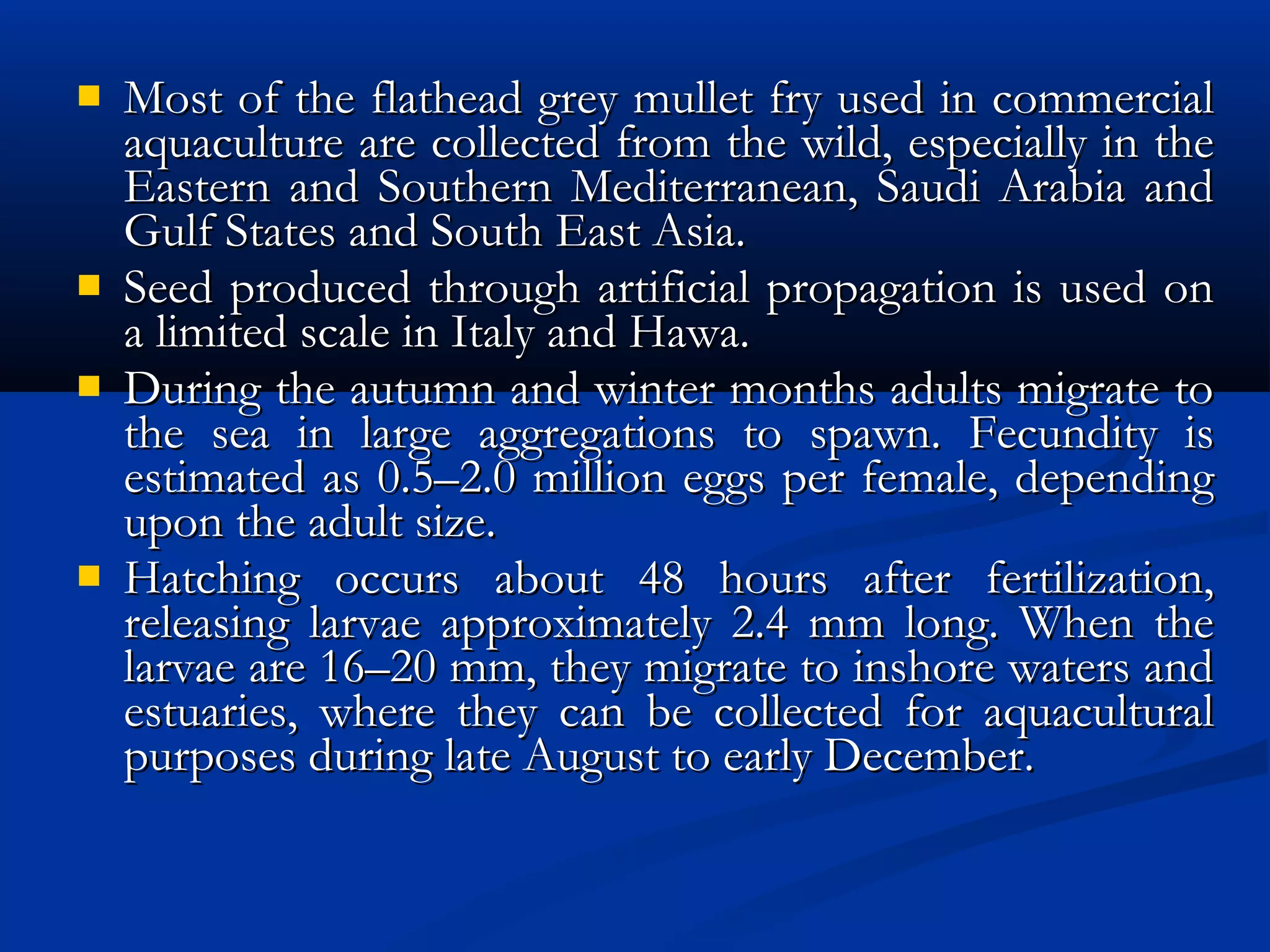  Most of the flathead grey mullet fry used in commercialMost of the flathead grey mullet fry used in commercial
aquaculture are collected from the wild, especially in theaquaculture are collected from the wild, especially in the
Eastern and Southern Mediterranean, Saudi Arabia andEastern and Southern Mediterranean, Saudi Arabia and
Gulf States and South East Asia.Gulf States and South East Asia.
 Seed produced through artificial propagation is used onSeed produced through artificial propagation is used on
a limited scale in Italy and Hawa.a limited scale in Italy and Hawa.
 During the autumn and winter months adults migrate toDuring the autumn and winter months adults migrate to
the sea in large aggregations to spawn. Fecundity isthe sea in large aggregations to spawn. Fecundity is
estimated as 0.5–2.0 million eggs per female, dependingestimated as 0.5–2.0 million eggs per female, depending
upon the adult size.upon the adult size.
 Hatching occurs about 48 hours after fertilization,Hatching occurs about 48 hours after fertilization,
releasing larvae approximately 2.4 mm long. When thereleasing larvae approximately 2.4 mm long. When the
larvae are 16–20 mm, they migrate to inshore waters andlarvae are 16–20 mm, they migrate to inshore waters and
estuaries, where they can be collected for aquaculturalestuaries, where they can be collected for aquacultural
purposes during late August to early December.purposes during late August to early December.
 