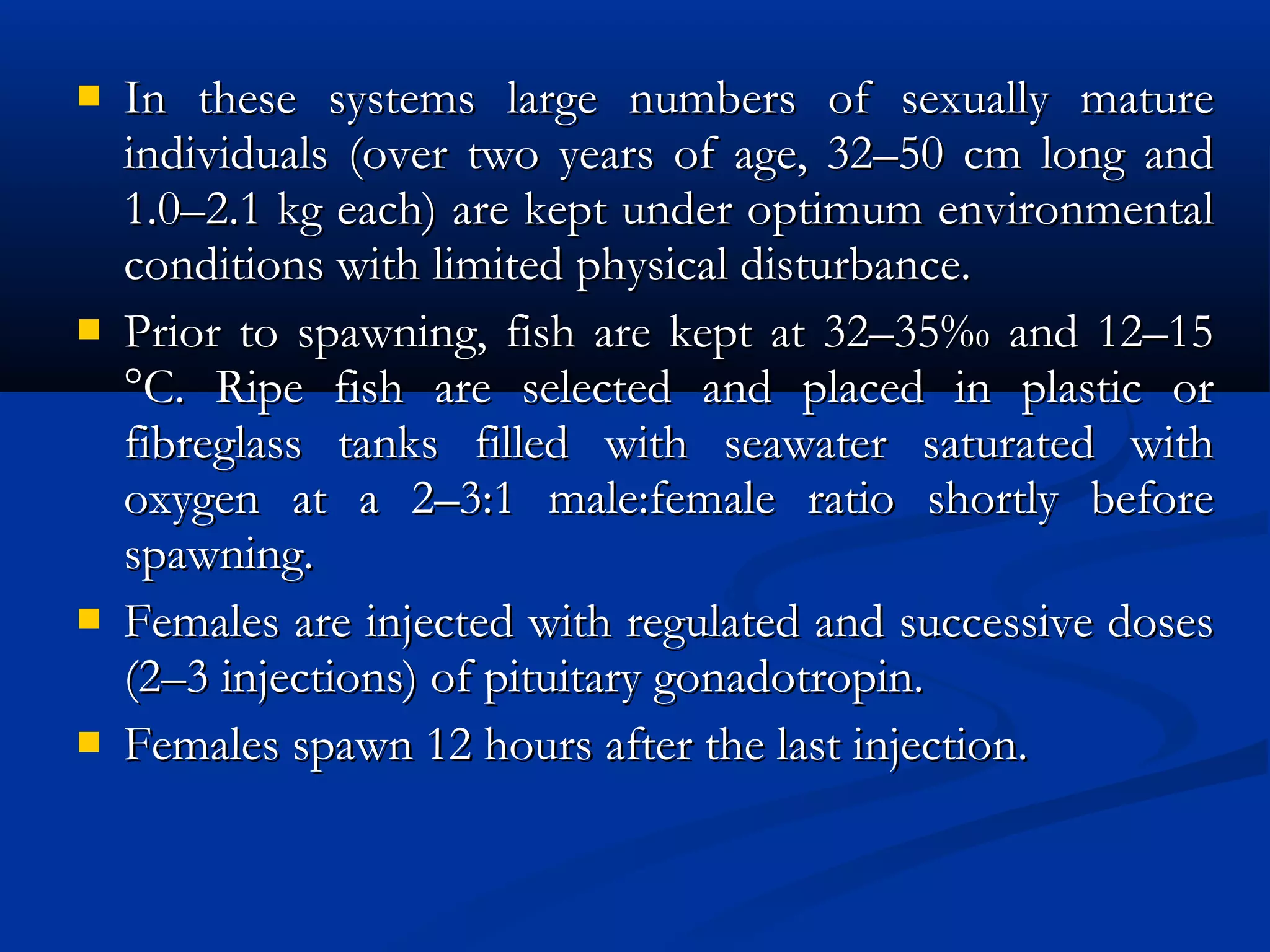  In these systems large numbers of sexually matureIn these systems large numbers of sexually mature
individuals (over two years of age, 32–50 cm long andindividuals (over two years of age, 32–50 cm long and
1.0–2.1 kg each) are kept under optimum environmental1.0–2.1 kg each) are kept under optimum environmental
conditions with limited physical disturbance.conditions with limited physical disturbance.
 Prior to spawning, fish are kept at 32–35‰ and 12–15Prior to spawning, fish are kept at 32–35‰ and 12–15
°C. Ripe fish are selected and placed in plastic or°C. Ripe fish are selected and placed in plastic or
fibreglass tanks filled with seawater saturated withfibreglass tanks filled with seawater saturated with
oxygen at a 2–3:1 male:female ratio shortly beforeoxygen at a 2–3:1 male:female ratio shortly before
spawning.spawning.
 Females are injected with regulated and successive dosesFemales are injected with regulated and successive doses
(2–3 injections) of pituitary gonadotropin.(2–3 injections) of pituitary gonadotropin.
 Females spawn 12 hours after the last injection.Females spawn 12 hours after the last injection.
 