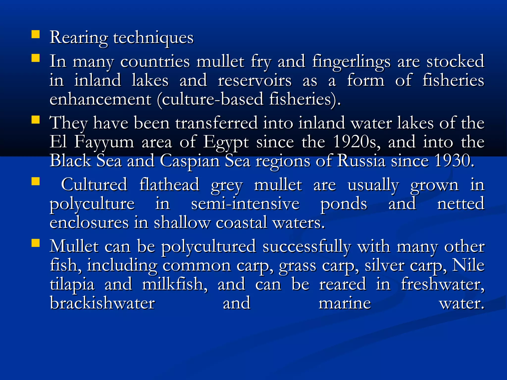  Rearing techniques Rearing techniques 
 In many countries mullet fry and fingerlings are stockedIn many countries mullet fry and fingerlings are stocked
in inland lakes and reservoirs as a form of fisheriesin inland lakes and reservoirs as a form of fisheries
enhancement (culture-based fisheries).enhancement (culture-based fisheries).
 They have been transferred into inland water lakes of theThey have been transferred into inland water lakes of the
El Fayyum area of Egypt since the 1920s, and into theEl Fayyum area of Egypt since the 1920s, and into the
Black Sea and Caspian Sea regions of Russia since 1930. Black Sea and Caspian Sea regions of Russia since 1930. 
 Cultured flathead grey mullet are usually grown inCultured flathead grey mullet are usually grown in
polyculture in semi-intensive ponds and nettedpolyculture in semi-intensive ponds and netted
enclosures in shallow coastal waters.enclosures in shallow coastal waters.
 Mullet can be polycultured successfully with many otherMullet can be polycultured successfully with many other
fish, including common carp, grass carp, silver carp, Nilefish, including common carp, grass carp, silver carp, Nile
tilapia and milkfish, and can be reared in freshwater,tilapia and milkfish, and can be reared in freshwater,
brackishwater and marine water.brackishwater and marine water.
 
