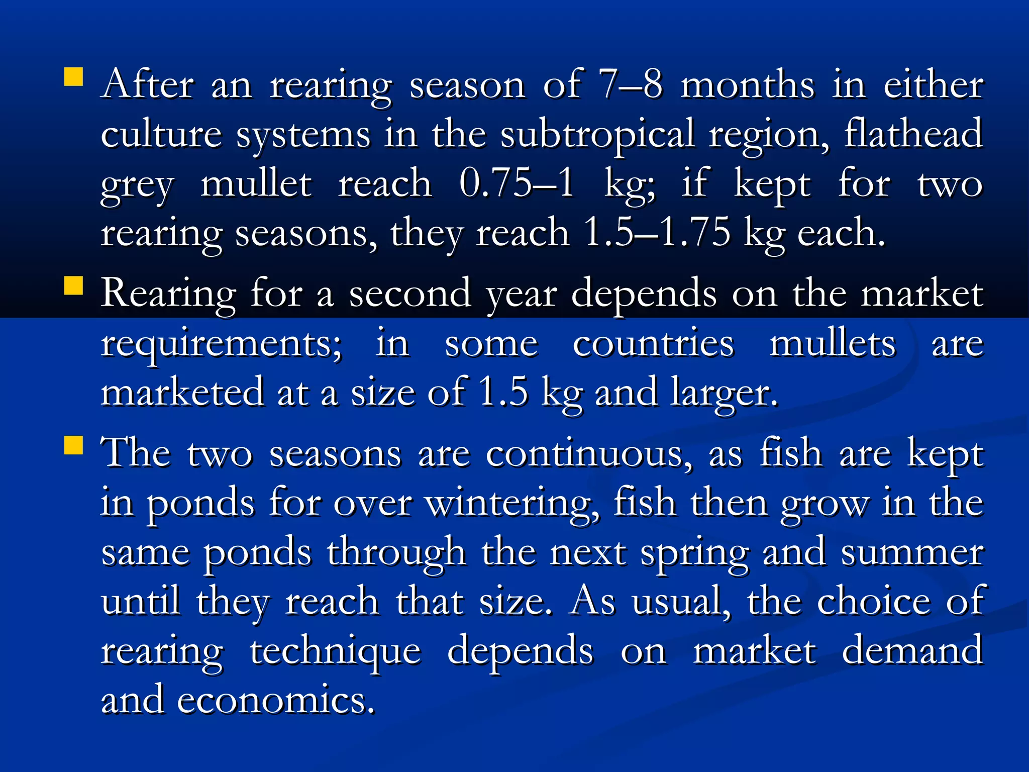  After an rearing season of 7–8 months in eitherAfter an rearing season of 7–8 months in either
culture systems in the subtropical region, flatheadculture systems in the subtropical region, flathead
grey mullet reach 0.75–1 kg; if kept for twogrey mullet reach 0.75–1 kg; if kept for two
rearing seasons, they reach 1.5–1.75 kg each.rearing seasons, they reach 1.5–1.75 kg each.
 Rearing for a second year depends on the marketRearing for a second year depends on the market
requirements; in some countries mullets arerequirements; in some countries mullets are
marketed at a size of 1.5 kg and larger.marketed at a size of 1.5 kg and larger.
 The two seasons are continuous, as fish are keptThe two seasons are continuous, as fish are kept
in ponds for over wintering, fish then grow in thein ponds for over wintering, fish then grow in the
same ponds through the next spring and summersame ponds through the next spring and summer
until they reach that size. As usual, the choice ofuntil they reach that size. As usual, the choice of
rearing technique depends on market demandrearing technique depends on market demand
and economics.and economics.
 