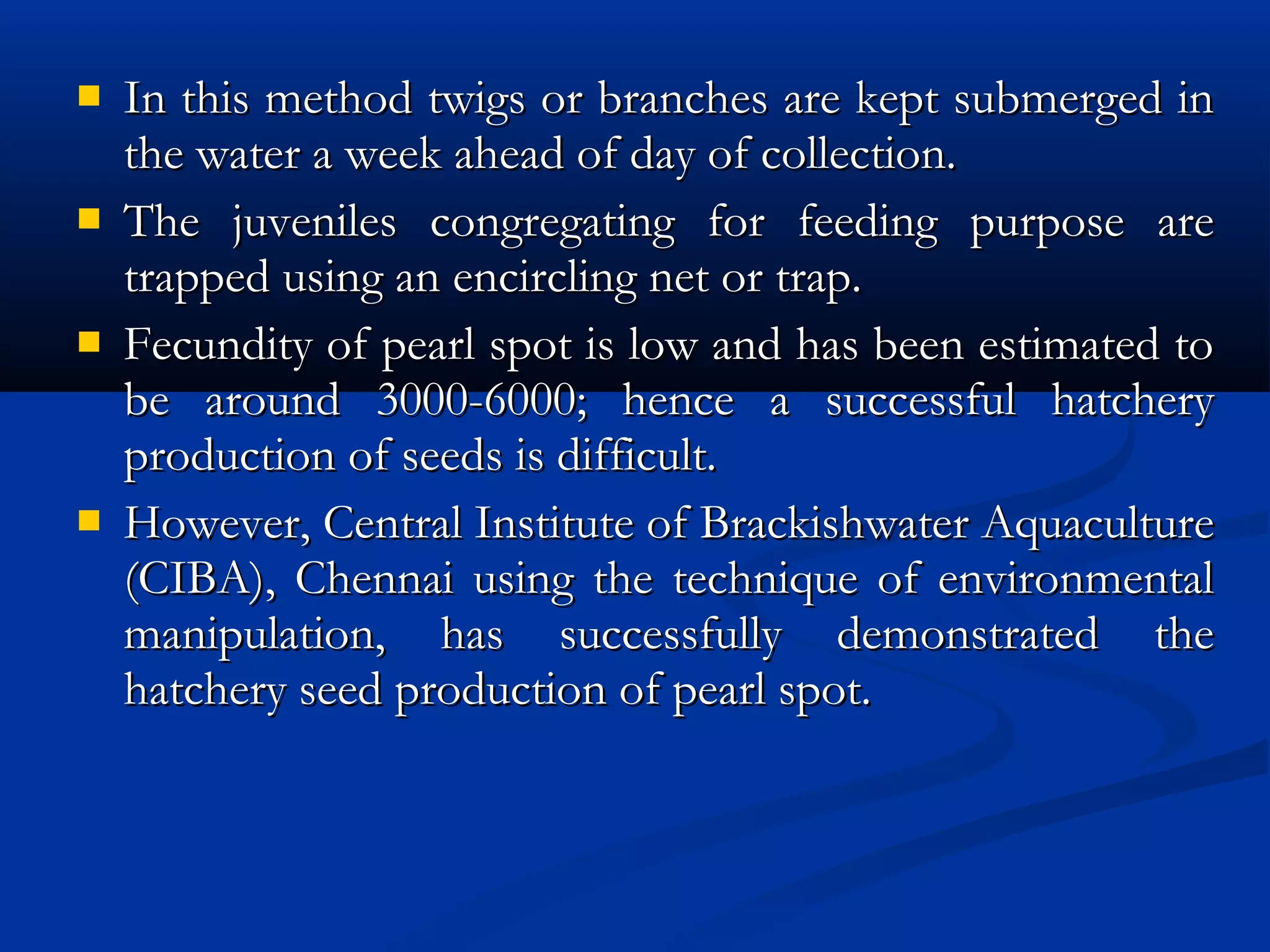  In this method twigs or branches are kept submerged inIn this method twigs or branches are kept submerged in
the water a week ahead of day of collection.the water a week ahead of day of collection.
 The juveniles congregating for feeding purpose areThe juveniles congregating for feeding purpose are
trapped using an encircling net or trap.trapped using an encircling net or trap.
 Fecundity of pearl spot is low and has been estimated toFecundity of pearl spot is low and has been estimated to
be around 3000-6000; hence a successful hatcherybe around 3000-6000; hence a successful hatchery
production of seeds is difficult.production of seeds is difficult.
 However, Central Institute of Brackishwater AquacultureHowever, Central Institute of Brackishwater Aquaculture
(CIBA), Chennai using the technique of environmental(CIBA), Chennai using the technique of environmental
manipulation, has successfully demonstrated themanipulation, has successfully demonstrated the
hatchery seed production of pearl spot.hatchery seed production of pearl spot.
 