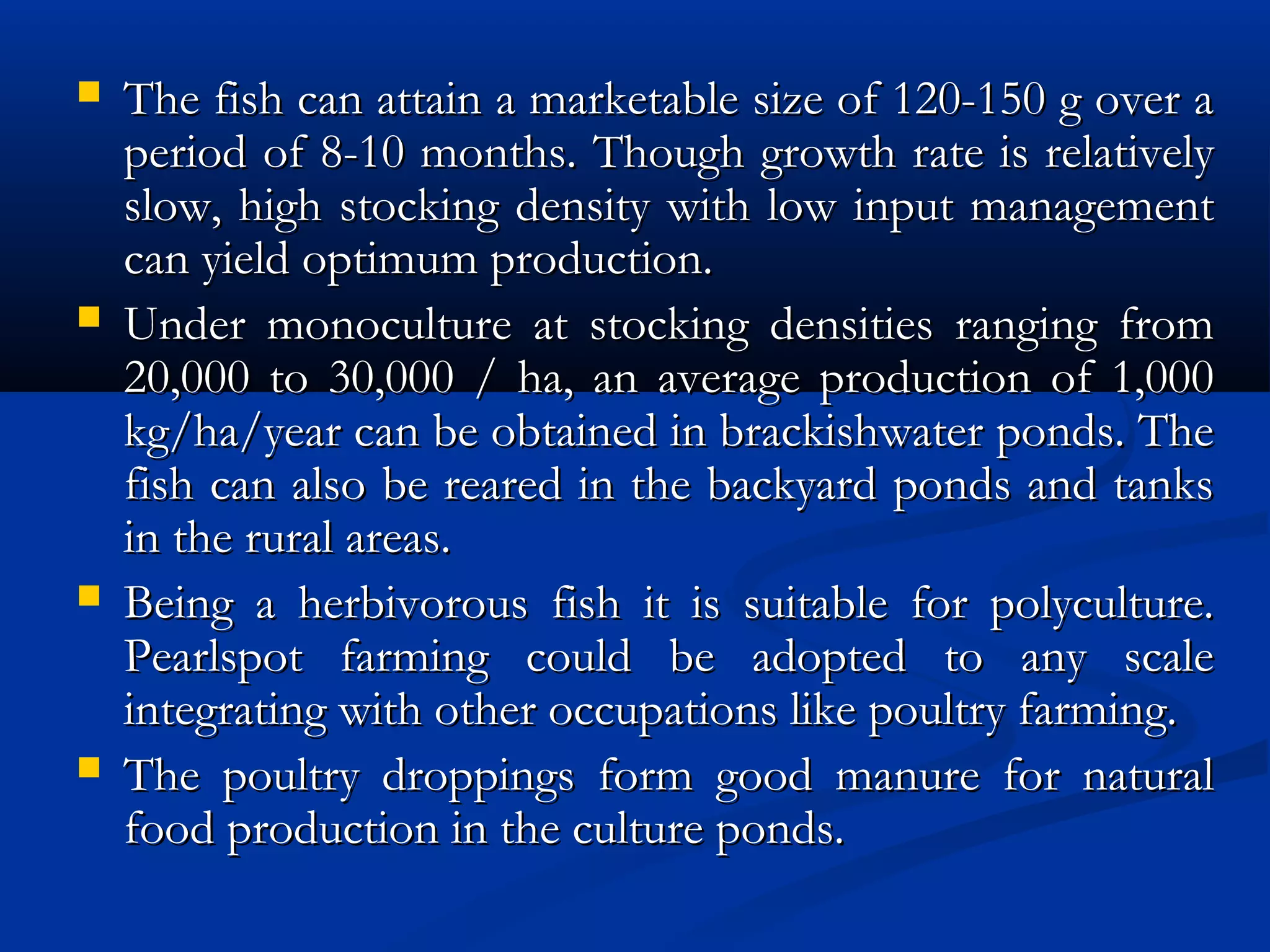  The fish can attain a marketable size of 120-150 g over aThe fish can attain a marketable size of 120-150 g over a
period of 8-10 months. Though growth rate is relativelyperiod of 8-10 months. Though growth rate is relatively
slow, high stocking density with low input managementslow, high stocking density with low input management
can yield optimum production.can yield optimum production.
 Under monoculture at stocking densities ranging fromUnder monoculture at stocking densities ranging from
20,000 to 30,000 / ha, an average production of 1,00020,000 to 30,000 / ha, an average production of 1,000
kg/ha/year can be obtained in brackishwater ponds. Thekg/ha/year can be obtained in brackishwater ponds. The
fish can also be reared in the backyard ponds and tanksfish can also be reared in the backyard ponds and tanks
in the rural areas.in the rural areas.
 Being a herbivorous fish it is suitable for polyculture.Being a herbivorous fish it is suitable for polyculture.
Pearlspot farming could be adopted to any scalePearlspot farming could be adopted to any scale
integrating with other occupations like poultry farming.integrating with other occupations like poultry farming.
 The poultry droppings form good manure for naturalThe poultry droppings form good manure for natural
food production in the culture ponds.food production in the culture ponds.
 