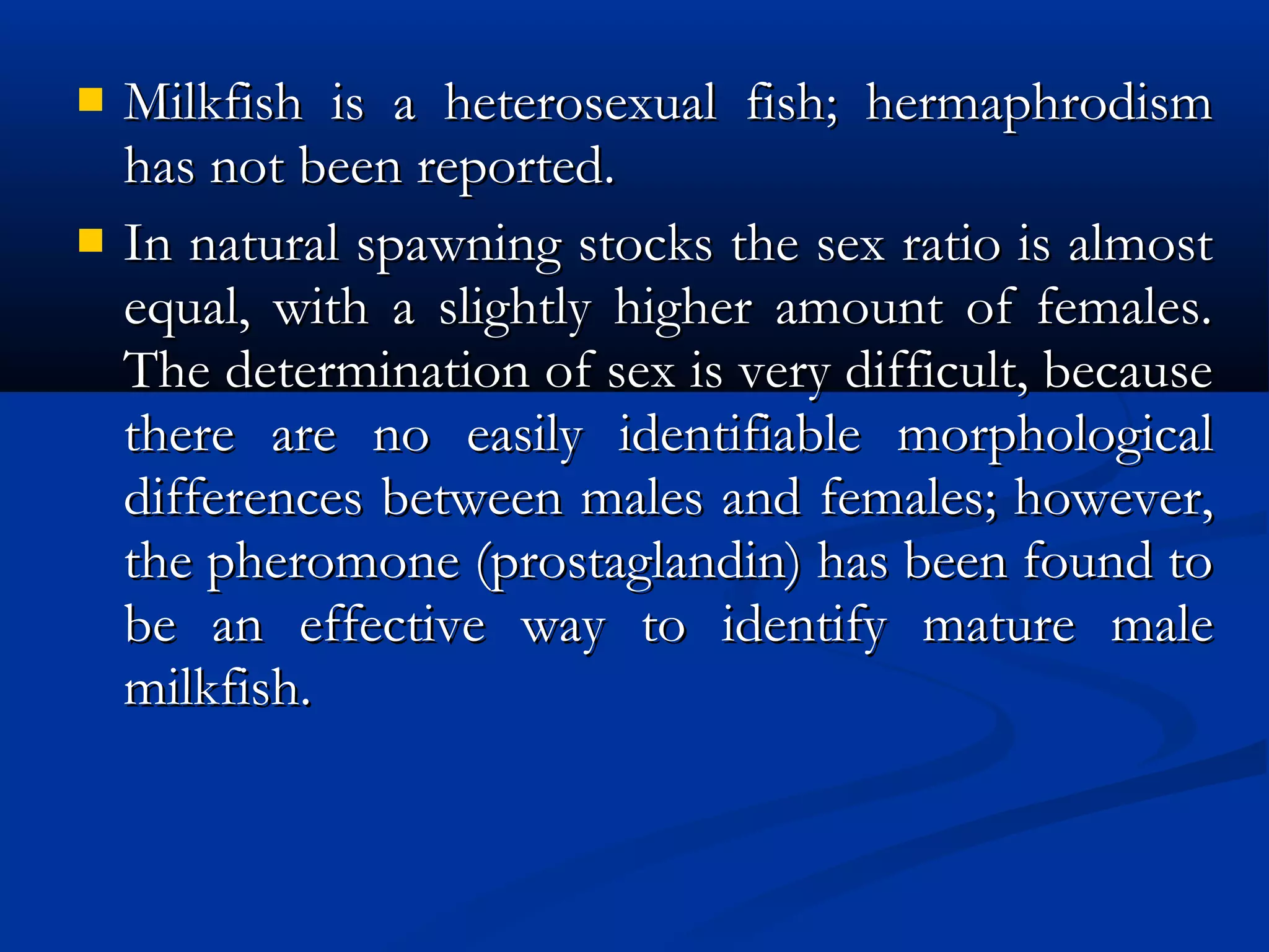  Milkfish is a heterosexual fish; hermaphrodismMilkfish is a heterosexual fish; hermaphrodism
has not been reported.has not been reported.
 In natural spawning stocks the sex ratio is almostIn natural spawning stocks the sex ratio is almost
equal, with a slightly higher amount of females.equal, with a slightly higher amount of females.
The determination of sex is very difficult, becauseThe determination of sex is very difficult, because
there are no easily identifiable morphologicalthere are no easily identifiable morphological
differences between males and females; however,differences between males and females; however,
the pheromone (prostaglandin) has been found tothe pheromone (prostaglandin) has been found to
be an effective way to identify mature malebe an effective way to identify mature male
milkfish. milkfish. 
 