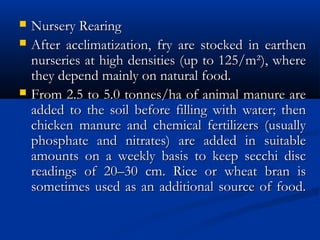 Nursery RearingNursery Rearing
 After acclimatization, fry are stocked in earthenAfter acclimatization, fry are stocked in earthen
nurseries at high densities (up to 125/m²), wherenurseries at high densities (up to 125/m²), where
they depend mainly on natural food.they depend mainly on natural food.
 From 2.5 to 5.0 tonnes/ha of animal manure areFrom 2.5 to 5.0 tonnes/ha of animal manure are
added to the soil before filling with water; thenadded to the soil before filling with water; then
chicken manure and chemical fertilizers (usuallychicken manure and chemical fertilizers (usually
phosphate and nitrates) are added in suitablephosphate and nitrates) are added in suitable
amounts on a weekly basis to keep secchi discamounts on a weekly basis to keep secchi disc
readings of 20–30 cm. Rice or wheat bran isreadings of 20–30 cm. Rice or wheat bran is
sometimes used as an additional source of food.sometimes used as an additional source of food.
 