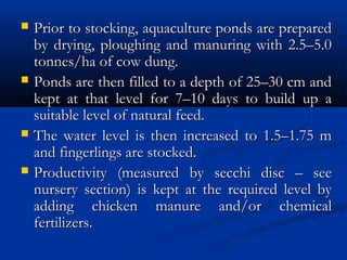  Prior to stocking, aquaculture ponds are preparedPrior to stocking, aquaculture ponds are prepared
by drying, ploughing and manuring with 2.5–5.0by drying, ploughing and manuring with 2.5–5.0
tonnes/ha of cow dung.tonnes/ha of cow dung.
 Ponds are then filled to a depth of 25–30 cm andPonds are then filled to a depth of 25–30 cm and
kept at that level for 7–10 days to build up akept at that level for 7–10 days to build up a
suitable level of natural feed.suitable level of natural feed.
 The water level is then increased to 1.5–1.75 mThe water level is then increased to 1.5–1.75 m
and fingerlings are stocked.and fingerlings are stocked.
 Productivity (measured by secchi disc – seeProductivity (measured by secchi disc – see
nursery section) is kept at the required level bynursery section) is kept at the required level by
adding chicken manure and/or chemicaladding chicken manure and/or chemical
fertilizers.fertilizers.
 