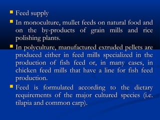  Feed supply Feed supply 
 In monoculture, mullet feeds on natural food andIn monoculture, mullet feeds on natural food and
on the by-products of grain mills and riceon the by-products of grain mills and rice
polishing plants.polishing plants.
 In polyculture, manufactured extruded pellets areIn polyculture, manufactured extruded pellets are
produced either in feed mills specialized in theproduced either in feed mills specialized in the
production of fish feed or, in many cases, inproduction of fish feed or, in many cases, in
chicken feed mills that have a line for fish feedchicken feed mills that have a line for fish feed
production.production.
 Feed is formulated according to the dietaryFeed is formulated according to the dietary
requirements of the major cultured species (i.e.requirements of the major cultured species (i.e.
tilapia and common carp).tilapia and common carp).
 