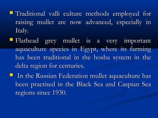  Traditional valli culture methods employed forTraditional valli culture methods employed for
raising mullet are now advanced, especially inraising mullet are now advanced, especially in
Italy.Italy.
 Flathead grey mullet is a very importantFlathead grey mullet is a very important
aquaculture species in Egypt, where its farmingaquaculture species in Egypt, where its farming
has been traditional in the hosha system in thehas been traditional in the hosha system in the
delta region for centuries.delta region for centuries.
 In the Russian Federation mullet aquaculture hasIn the Russian Federation mullet aquaculture has
been practised in the Black Sea and Caspian Seabeen practised in the Black Sea and Caspian Sea
regions since 1930.regions since 1930.
 