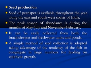  Seed productionSeed production
 Seed of pearlspot is available throughout the yearSeed of pearlspot is available throughout the year
along the east and south-west coasts of India.along the east and south-west coasts of India.
 The peak season of abundance is during theThe peak season of abundance is during the
months of May-July and November-February.months of May-July and November-February.
 It can be easily collected from both theIt can be easily collected from both the
brackishwater and freshwater tanks and ponds.brackishwater and freshwater tanks and ponds.
 A simple method of seed collection is adoptedA simple method of seed collection is adopted
taking advantage of the tendency of the fish totaking advantage of the tendency of the fish to
congregate in large numbers for feeding oncongregate in large numbers for feeding on
epiphytic growth.epiphytic growth.
 