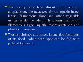  The young ones feed almost exclusively onThe young ones feed almost exclusively on
zooplankton, the advanced fry on aquatic insectzooplankton, the advanced fry on aquatic insect
larvae, filamentous algae and other vegetablelarvae, filamentous algae and other vegetable
matter, while the adult fish subsists mainly onmatter, while the adult fish subsists mainly on
filamentous algae, aquatic macrovegetation andfilamentous algae, aquatic macrovegetation and
planktonic organisms.planktonic organisms.
 Worms, shrimps and insect larvae also form partWorms, shrimps and insect larvae also form part
of its food. Adult pearl spot can be fed withof its food. Adult pearl spot can be fed with
pelleted fish feeds.pelleted fish feeds.
 