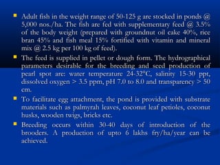  Adult fish in the weight range of 50-125 g are stocked in ponds @Adult fish in the weight range of 50-125 g are stocked in ponds @
5,000 nos./ha. The fish are fed with supplementary feed @ 3.5%5,000 nos./ha. The fish are fed with supplementary feed @ 3.5%
of the body weight (prepared with groundnut oil cake 40%, riceof the body weight (prepared with groundnut oil cake 40%, rice
bran 45% and fish meal 15% fortified with vitamin and mineralbran 45% and fish meal 15% fortified with vitamin and mineral
mix @ 2.5 kg per 100 kg of feed).mix @ 2.5 kg per 100 kg of feed).
 The feed is supplied in pellet or dough form. The hydrographicalThe feed is supplied in pellet or dough form. The hydrographical
parameters desirable for the breeding and seed production ofparameters desirable for the breeding and seed production of
pearl spot are: water temperature 24-32°C, salinity 15-30 ppt,pearl spot are: water temperature 24-32°C, salinity 15-30 ppt,
dissolved oxygen > 3.5 ppm, pH 7.0 to 8.0 and transparency > 50dissolved oxygen > 3.5 ppm, pH 7.0 to 8.0 and transparency > 50
cm.cm.
 To facilitate egg attachment, the pond is provided with substrateTo facilitate egg attachment, the pond is provided with substrate
materials such as palmyrah leaves, coconut leaf petioles, coconutmaterials such as palmyrah leaves, coconut leaf petioles, coconut
husks, wooden twigs, bricks etc.husks, wooden twigs, bricks etc.
 Breeding occurs within 30-40 days of introduction of theBreeding occurs within 30-40 days of introduction of the
brooders. A production of upto 6 lakhs fry/ha/year can bebrooders. A production of upto 6 lakhs fry/ha/year can be
achieved.achieved.
 
