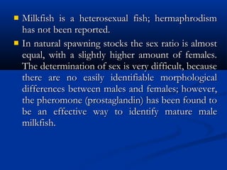  Milkfish is a heterosexual fish; hermaphrodismMilkfish is a heterosexual fish; hermaphrodism
has not been reported.has not been reported.
 In natural spawning stocks the sex ratio is almostIn natural spawning stocks the sex ratio is almost
equal, with a slightly higher amount of females.equal, with a slightly higher amount of females.
The determination of sex is very difficult, becauseThe determination of sex is very difficult, because
there are no easily identifiable morphologicalthere are no easily identifiable morphological
differences between males and females; however,differences between males and females; however,
the pheromone (prostaglandin) has been found tothe pheromone (prostaglandin) has been found to
be an effective way to identify mature malebe an effective way to identify mature male
milkfish. milkfish. 
 