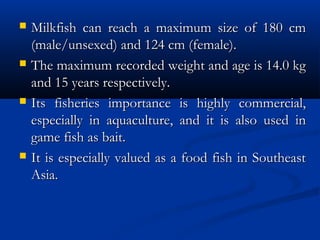  Milkfish can reach a maximum size of 180 cmMilkfish can reach a maximum size of 180 cm
(male/unsexed) and 124 cm (female).(male/unsexed) and 124 cm (female).
 The maximum recorded weight and age is 14.0 kgThe maximum recorded weight and age is 14.0 kg
and 15 years respectively.and 15 years respectively.
 Its fisheries importance is highly commercial,Its fisheries importance is highly commercial,
especially in aquaculture, and it is also used inespecially in aquaculture, and it is also used in
game fish as bait.game fish as bait.
 It is especially valued as a food fish in SoutheastIt is especially valued as a food fish in Southeast
Asia.Asia.
 