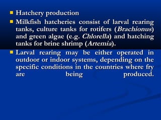  Hatchery production Hatchery production 
 Milkfish hatcheries consist of larval rearingMilkfish hatcheries consist of larval rearing
tanks, culture tanks for rotifers (tanks, culture tanks for rotifers (BrachionusBrachionus))
and green algae (e.g. and green algae (e.g. ChlorellaChlorella) and hatching) and hatching
tanks for brine shrimp (tanks for brine shrimp (ArtemiaArtemia).).
 Larval rearing may be either operated inLarval rearing may be either operated in
outdoor or indoor systems, depending on theoutdoor or indoor systems, depending on the
specific conditions in the countries where fryspecific conditions in the countries where fry
are being produced.are being produced.
 