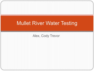 Mullet River Water Testing

      Alex, Cody Trevor
 