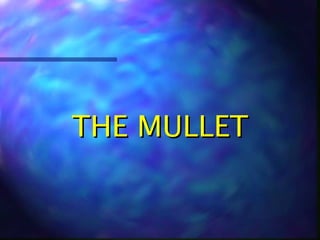 THE MULLETTHE MULLET
 