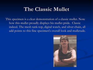 Mullets Ppt