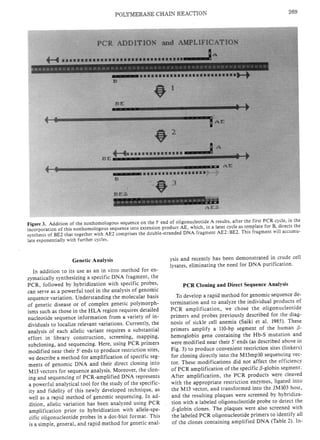 Specific enzymatic amplification of DNA in vitro: The polymerase chain ...