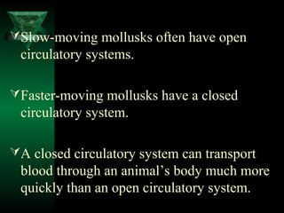 Slow-moving mollusks often have open
circulatory systems.
Faster-moving mollusks have a closed
circulatory system.
A cl...