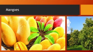Mangoes
 