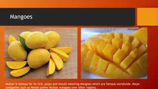 Mangoes
Multan is famous for its rich, pulpy and mouth watering Mangoes which are famous worldwide. Major
companies such as Nestl prefer Multan mangoes over other regions.
 
