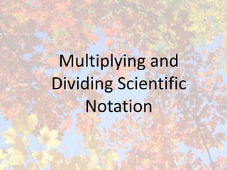 Mult and divide division