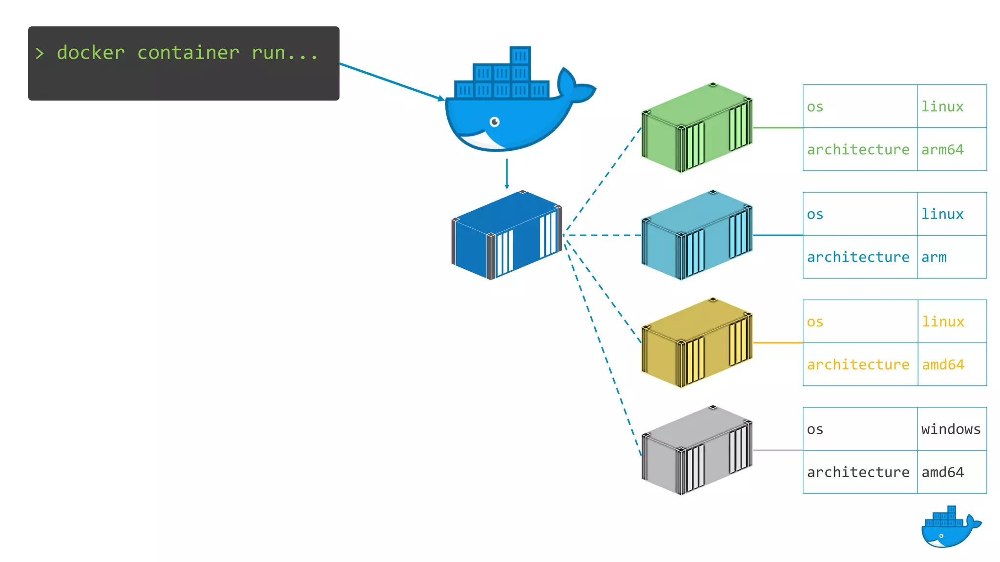 > docker container run...
os linux
architecture arm
os linux
architecture amd64
os windows
architecture amd64
os linux
architecture arm64
 