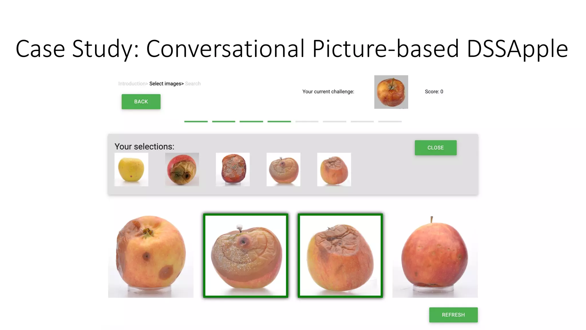 Case Study: Conversational Picture-based DSSApple
 