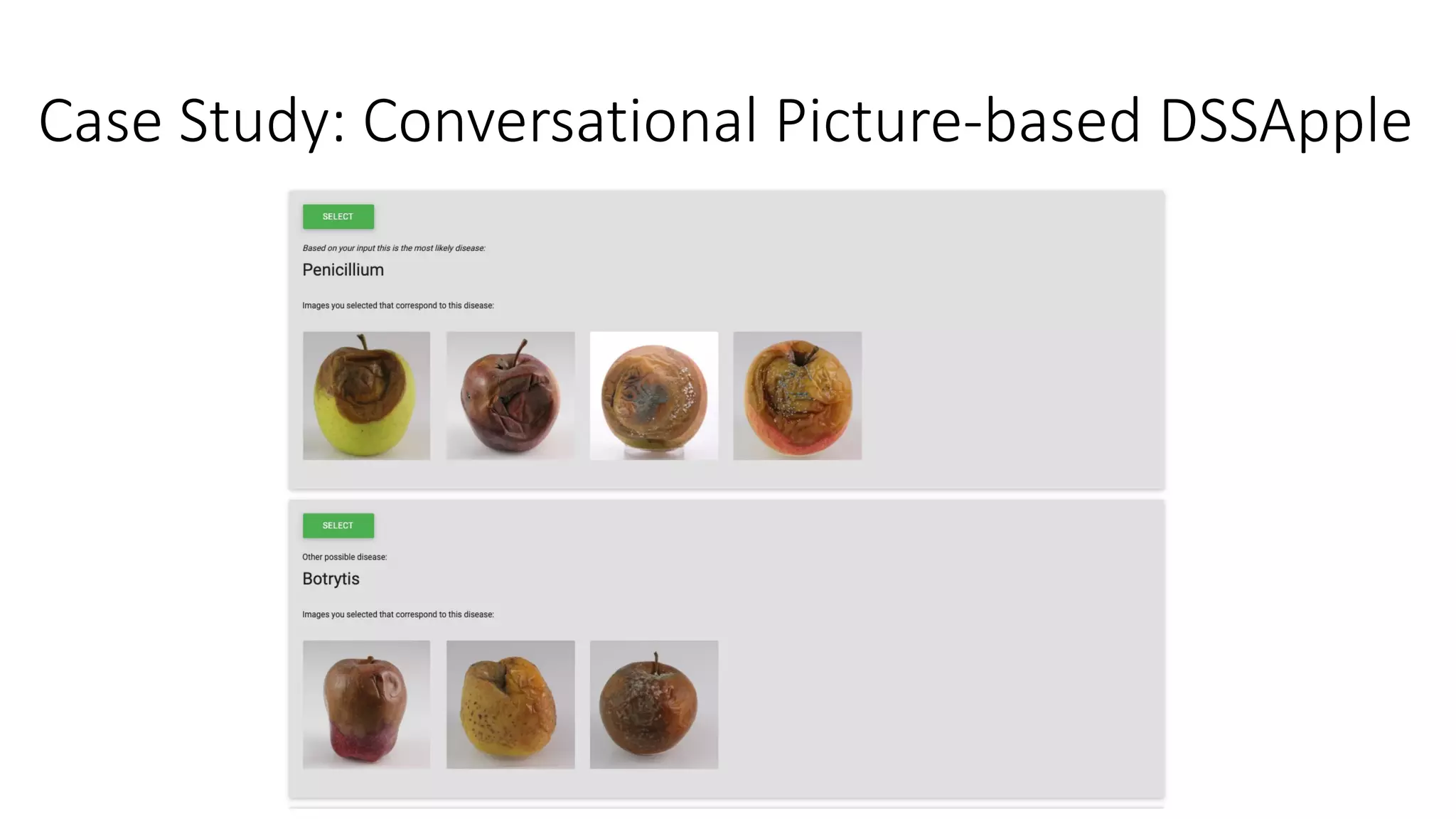 Case Study: Conversational Picture-based DSSApple
 