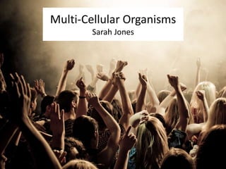 Multi-Cellular Organisms 
Sarah Jones 
http://raveshades.com/wp 
 