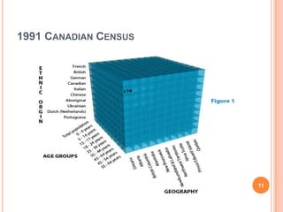 1991 CANADIAN CENSUS




                       11
 