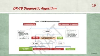 DR-TB Diagnostic Algorithm
8/20/2018
19
 