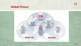 Global Picture
8/20/2018
03
 