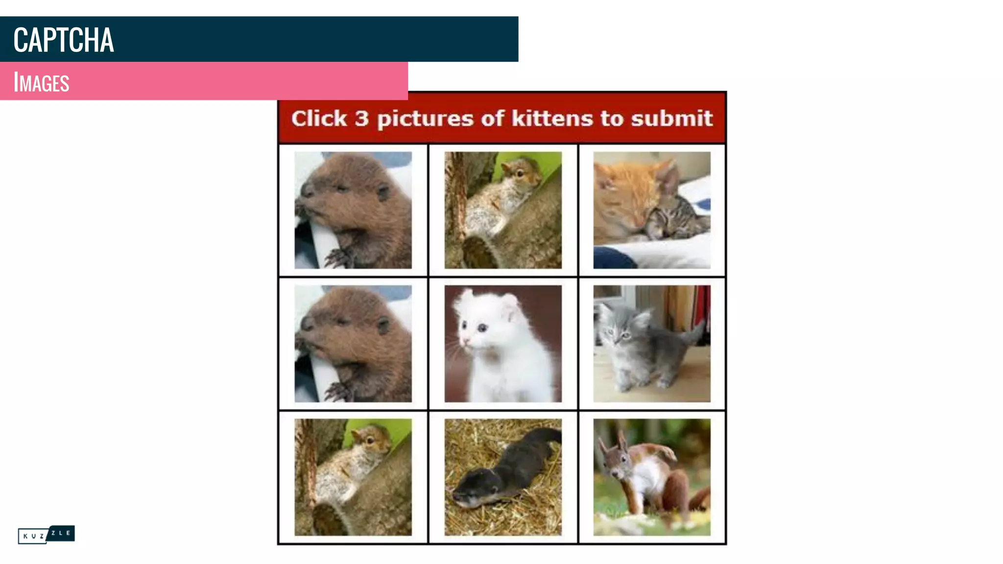 CAPTCHA
IMAGES
 