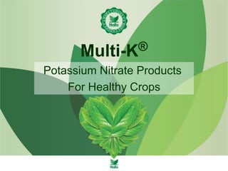Potassium Nitrate Products
For Healthy Crops
Multi-K®
 