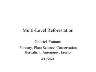 Multi level Reforestation