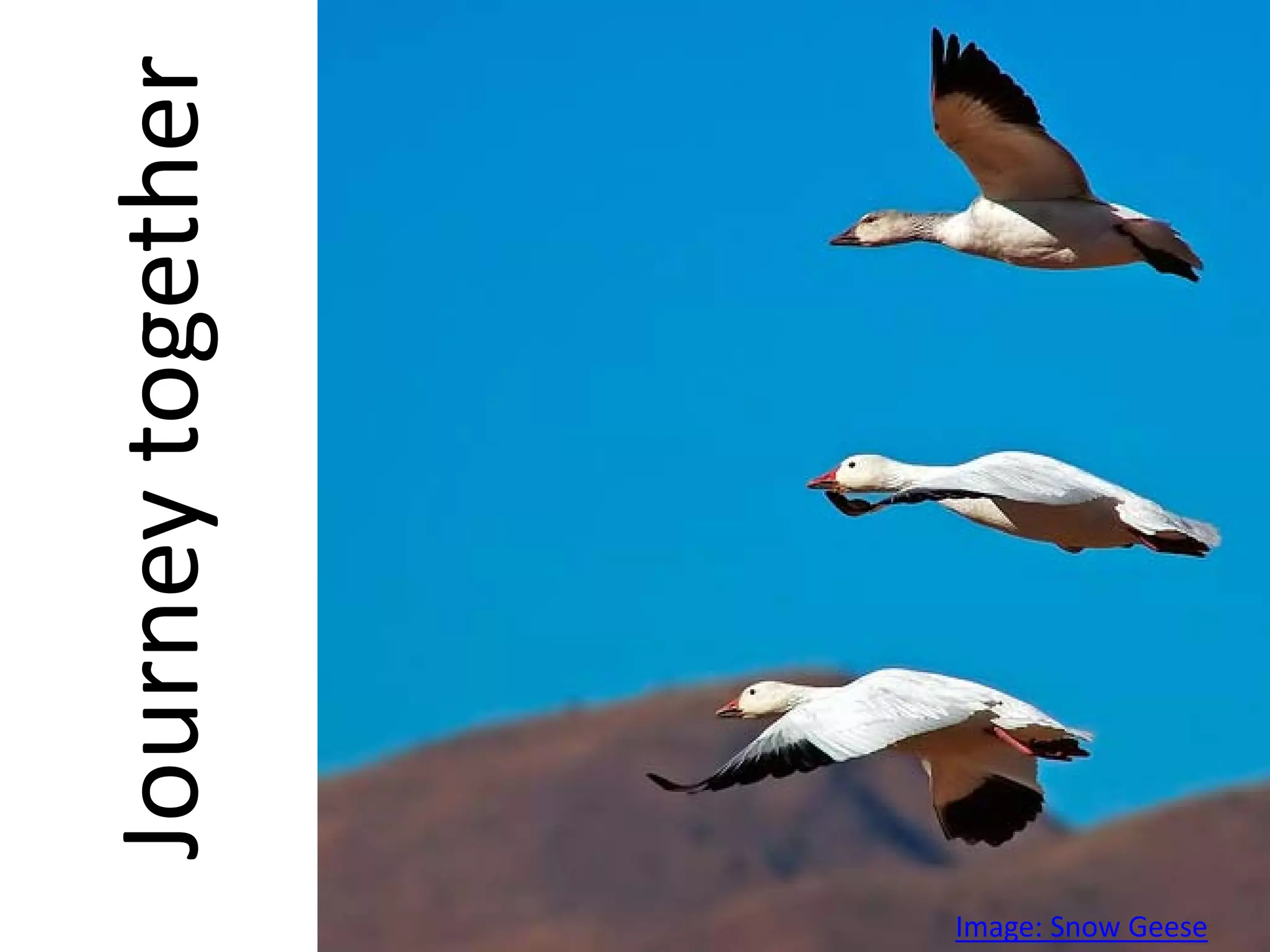 Learning is a Multi Modal Conversation